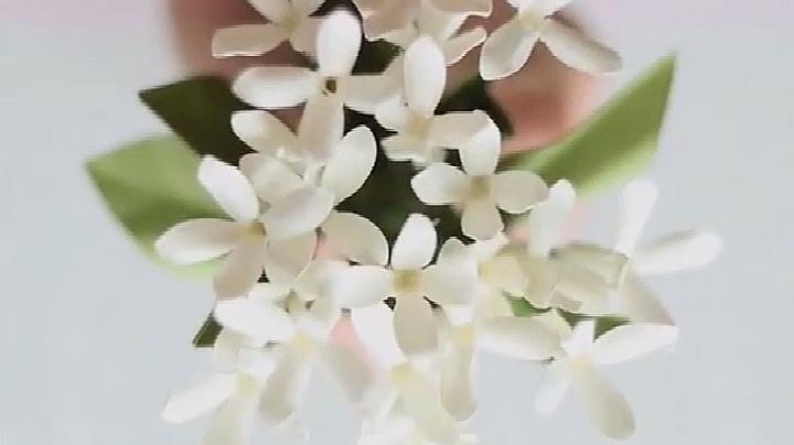 360影视 影视搜索 360影视 影视搜索