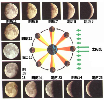 另外,农历月最后一天称为晦日,即不见月亮;   以上有四种为主要月相