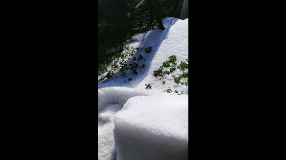 [图]《六月雪》《窦娥冤》天灾降临!