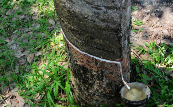 天然橡膠的價格在10000到15000每噸.