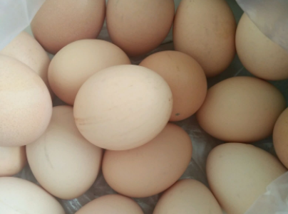 熟的鸡蛋清吃着发涩,不好扒皮,蛋清没有弹性是怎么回事?