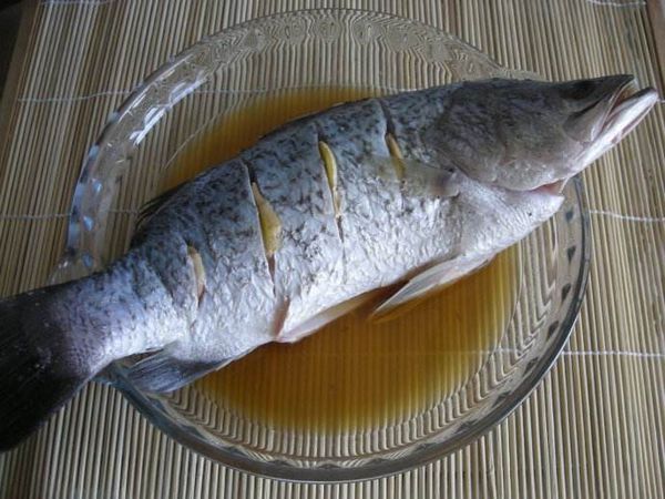 超市里的海桂鱼是海鱼吗