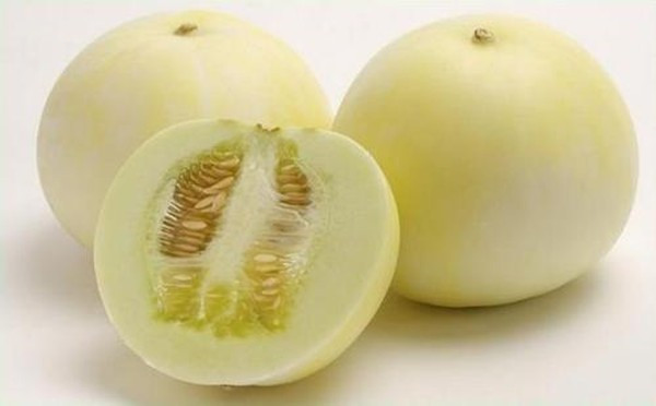 祖国医学确认甜瓜具有"消暑热,解烦渴,利小便"的显著功效.