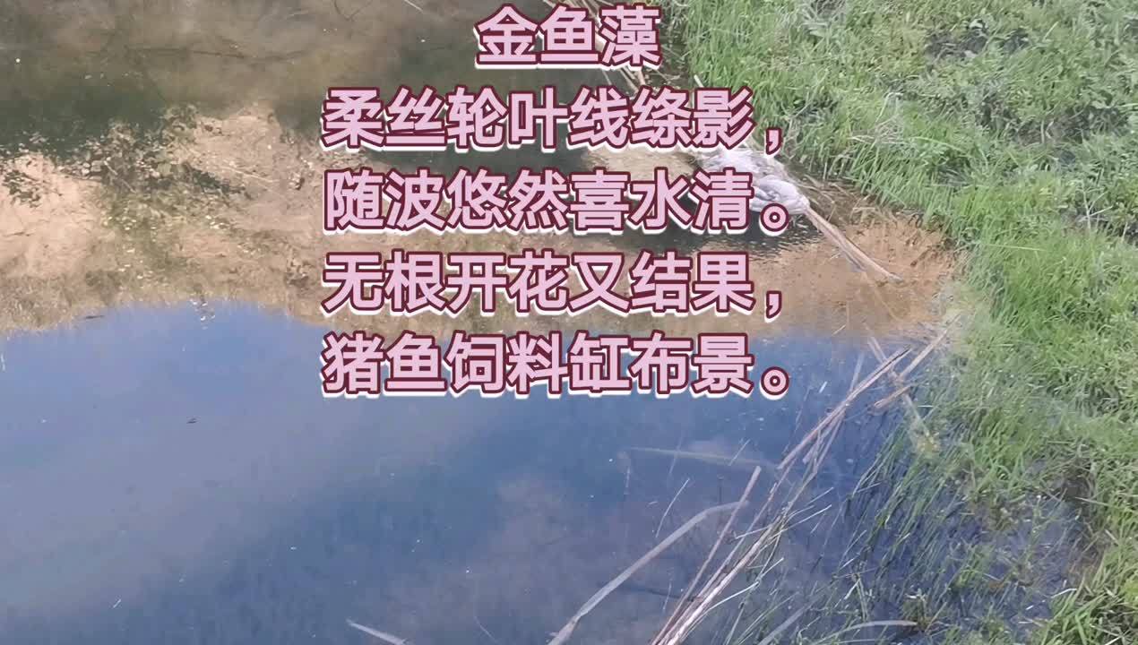 360影视 影视搜索