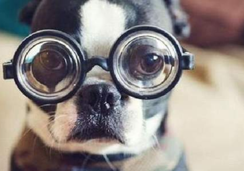 近视1000度,还有救吗?