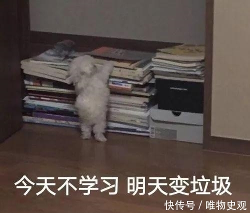 朱广权跨年网络