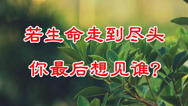 假如生命只剩最后一天,你会做些什么?