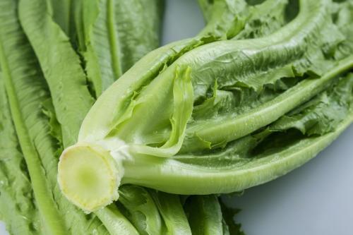 跟莴笋很像的菜叫什么