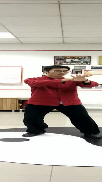 陈氏太极拳三十八式第三式白鹤亮翅