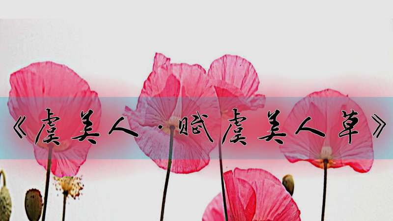 360影视 影视搜索 360影视 影视搜索
