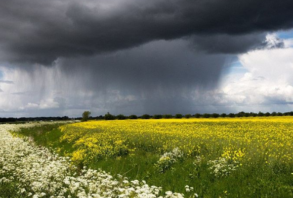 风和雨一般是一起出现的,两者有什么关联?