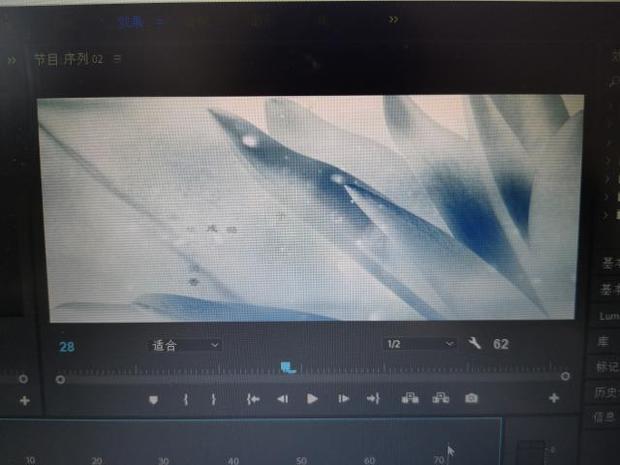 PR新建序列后,导入两个尺寸不一样的视频后,视