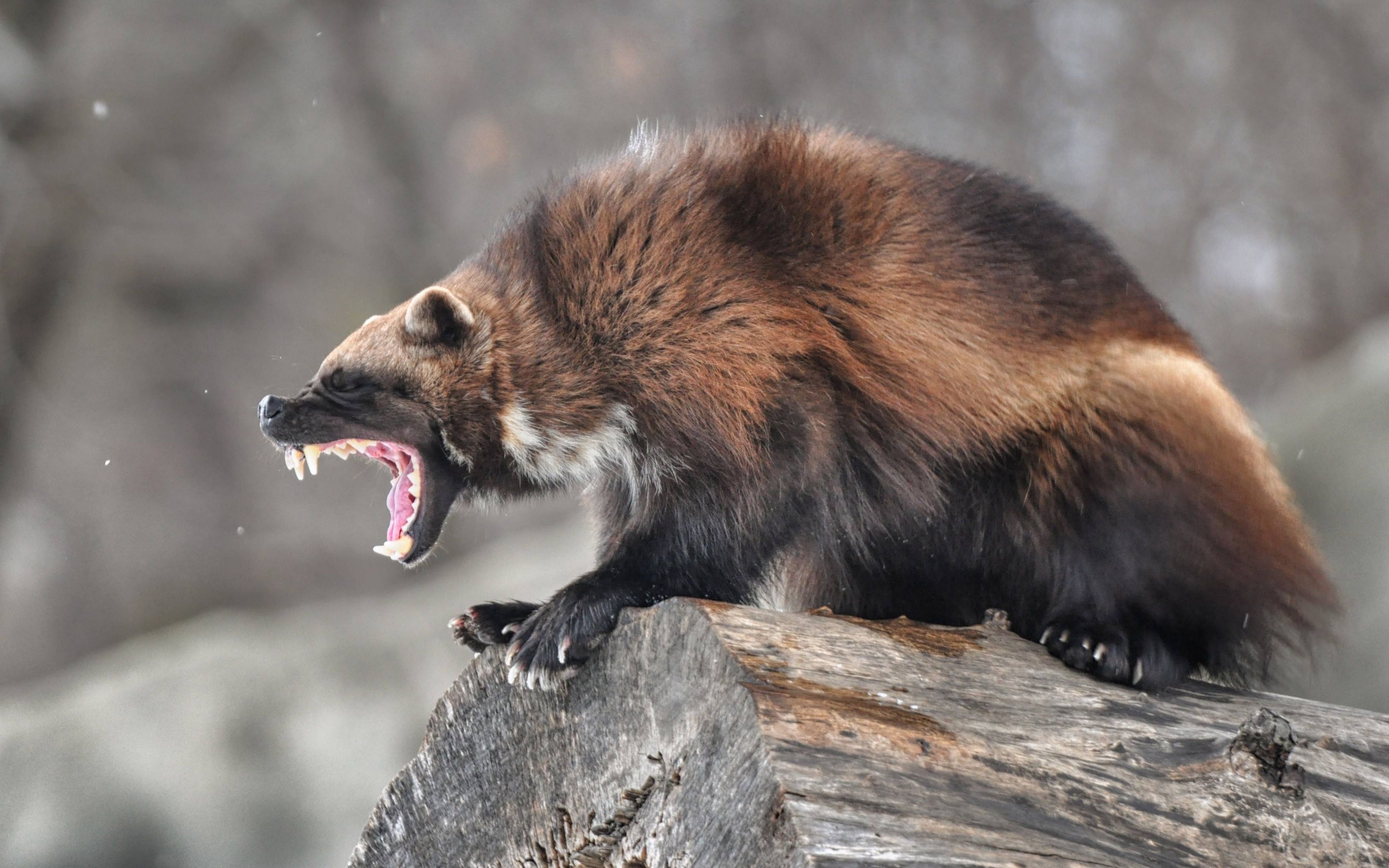 360影视-影视搜索