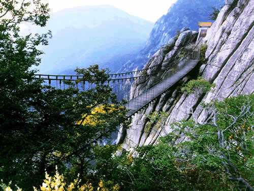 少林寺连天索桥长与宽是多少