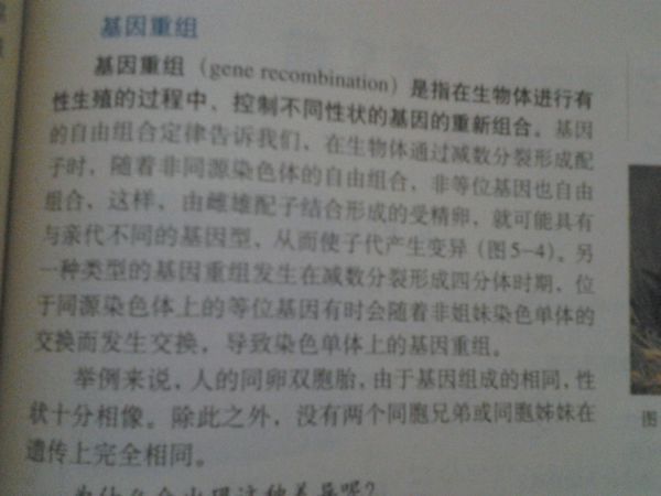 同源染色体交叉互换,互换是等位基因互换么