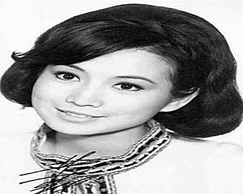邵氏女星 b>井莉 /b>葬礼将于月日举办次日入殓