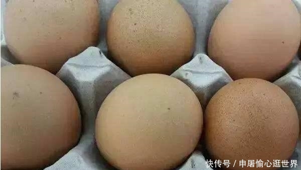 今年春节猪肉会多少钱一斤