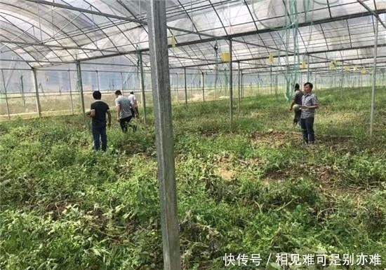 高校党支部书记是基层党建