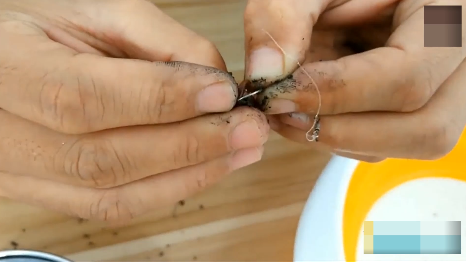 李大毛发明独家蚯蚓挂法,专钓大鱼,绝不空军!