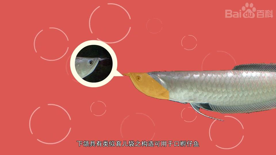 360影视 影视搜索 360影视 影视搜索