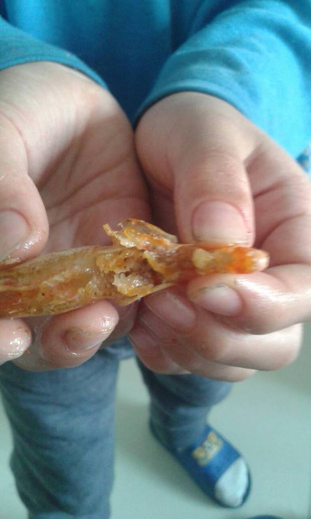 虾什么地方能吃 还有虾肚子下面的黑色物体是什么?能吃吗?