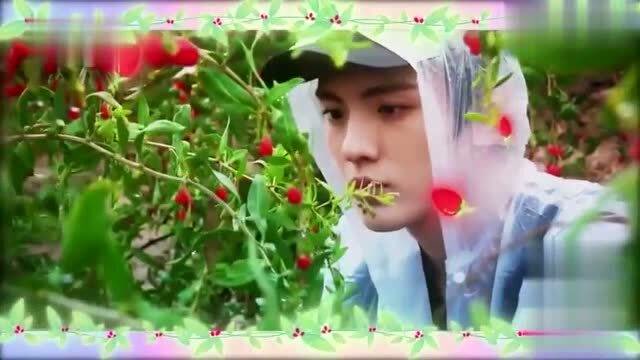 360影视 影视搜索