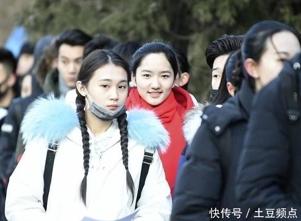 教师对教师建议