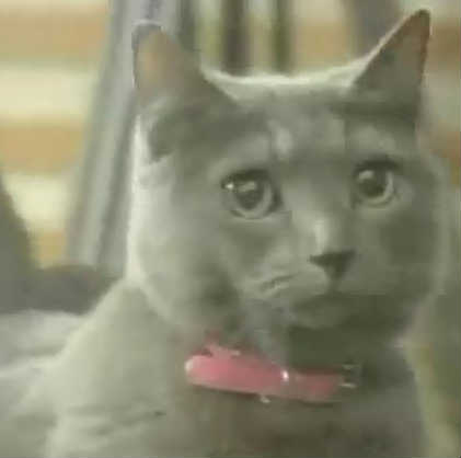 360影视 影视搜索 360影视 影视搜索