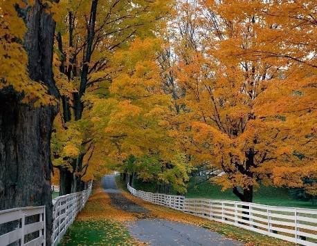 从小自卑的人,到底怎样才能突破自己?