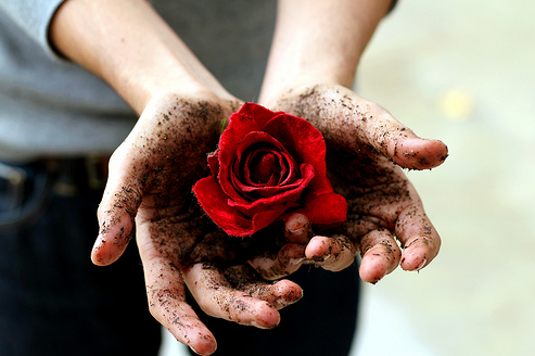 赠人玫瑰,手有余香.