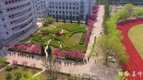 航拍山东 高密 第三 中学   康成中学 #学校#学生#回忆#青春 #歉行