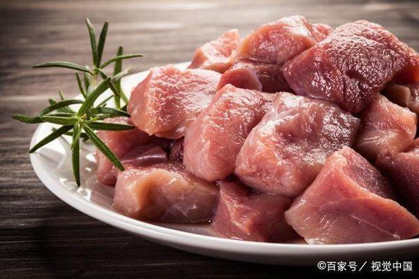 该怎么给自家猫咪挑选猫粮,天然粮和商品粮到