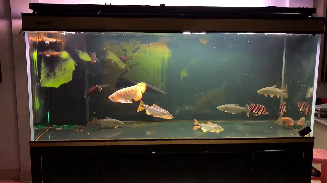 360影视 影视搜索 360影视 影视搜索