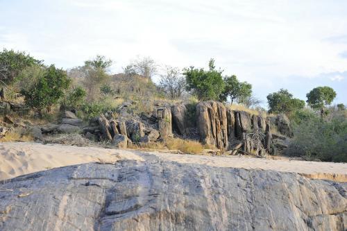 非洲和越南旱地挖鱼是怎么回事