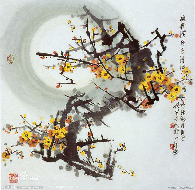 梅花的图片