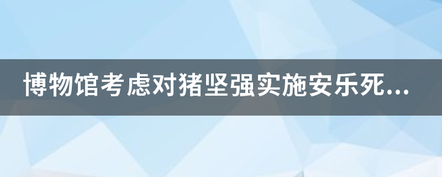 博物馆考虑对猪坚强实施安乐死动物安乐死有先例吗