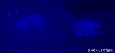 长沙到高铁的高铁