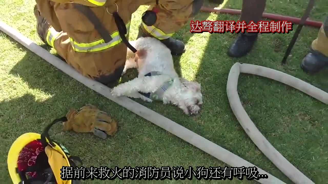 360影视 影视搜索