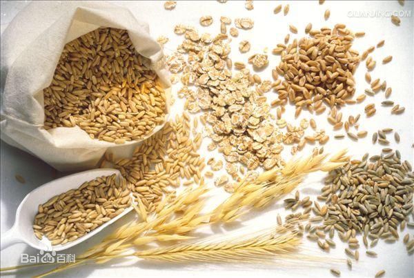 斑鸠雏鸟喂着什么?还要不要喂沙子?我现在喂