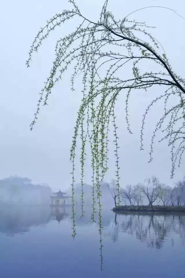 唐·李商隐《离亭赋得折杨柳二首》 暂凭尊酒送无憀,莫损愁眉与细腰.