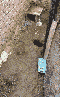 飞机机长飞机班