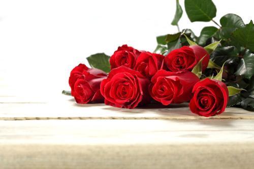 七朵红玫瑰的花语是什么?