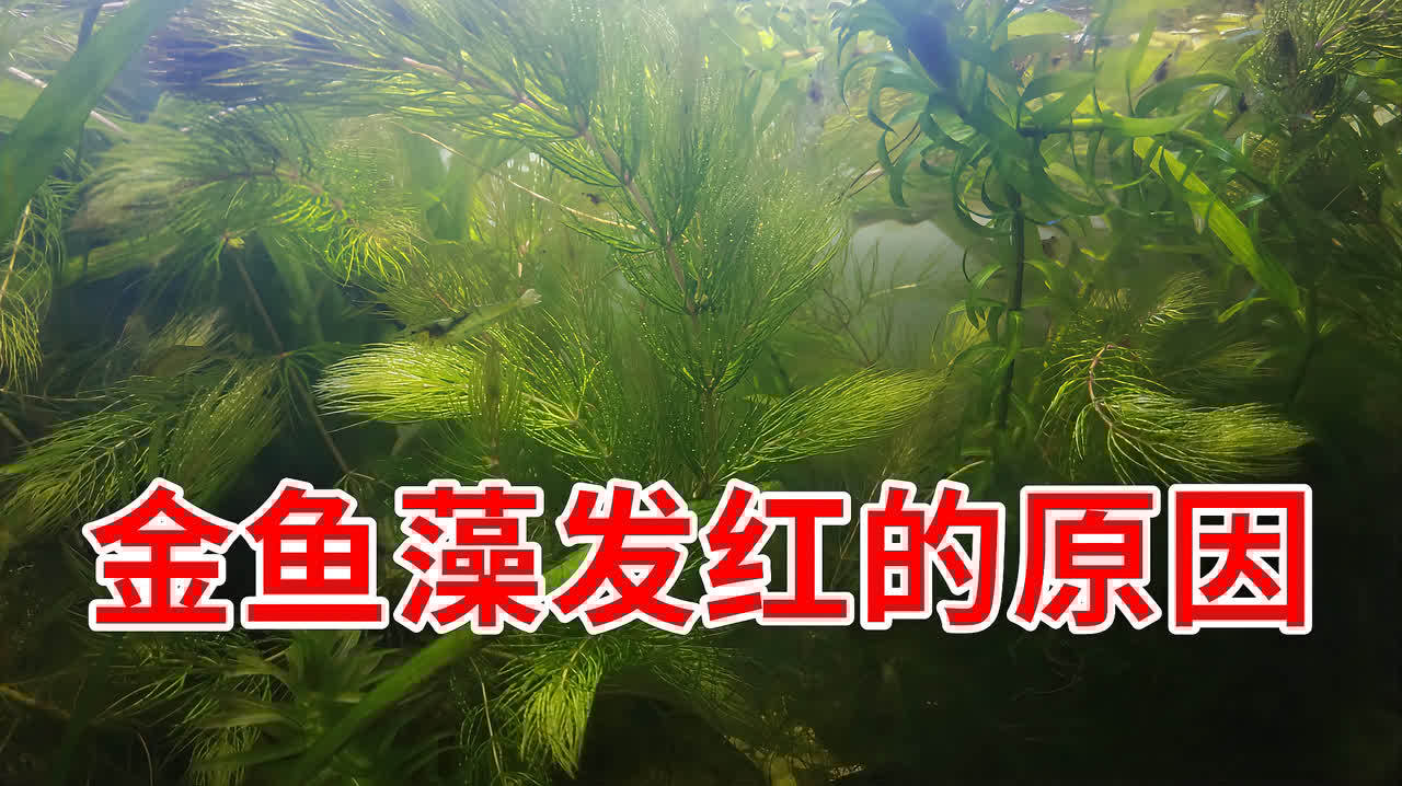 360影视 影视搜索 360影视 影视搜索