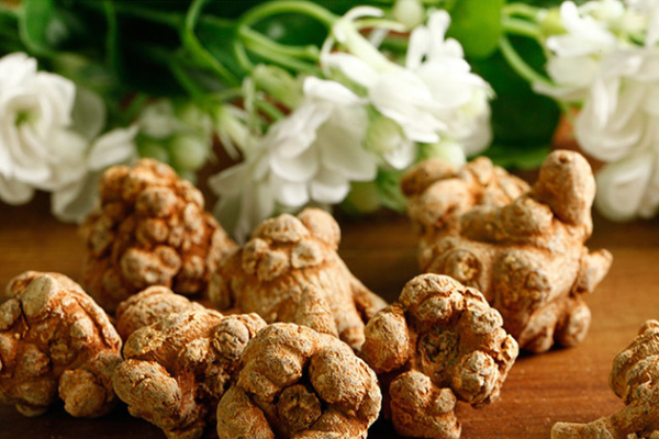 如何购买三七中药?