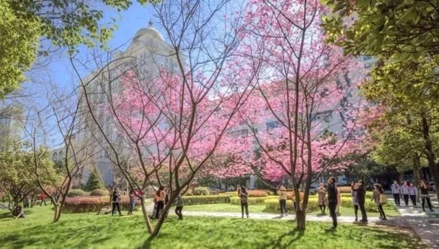 2020数学研究生卷