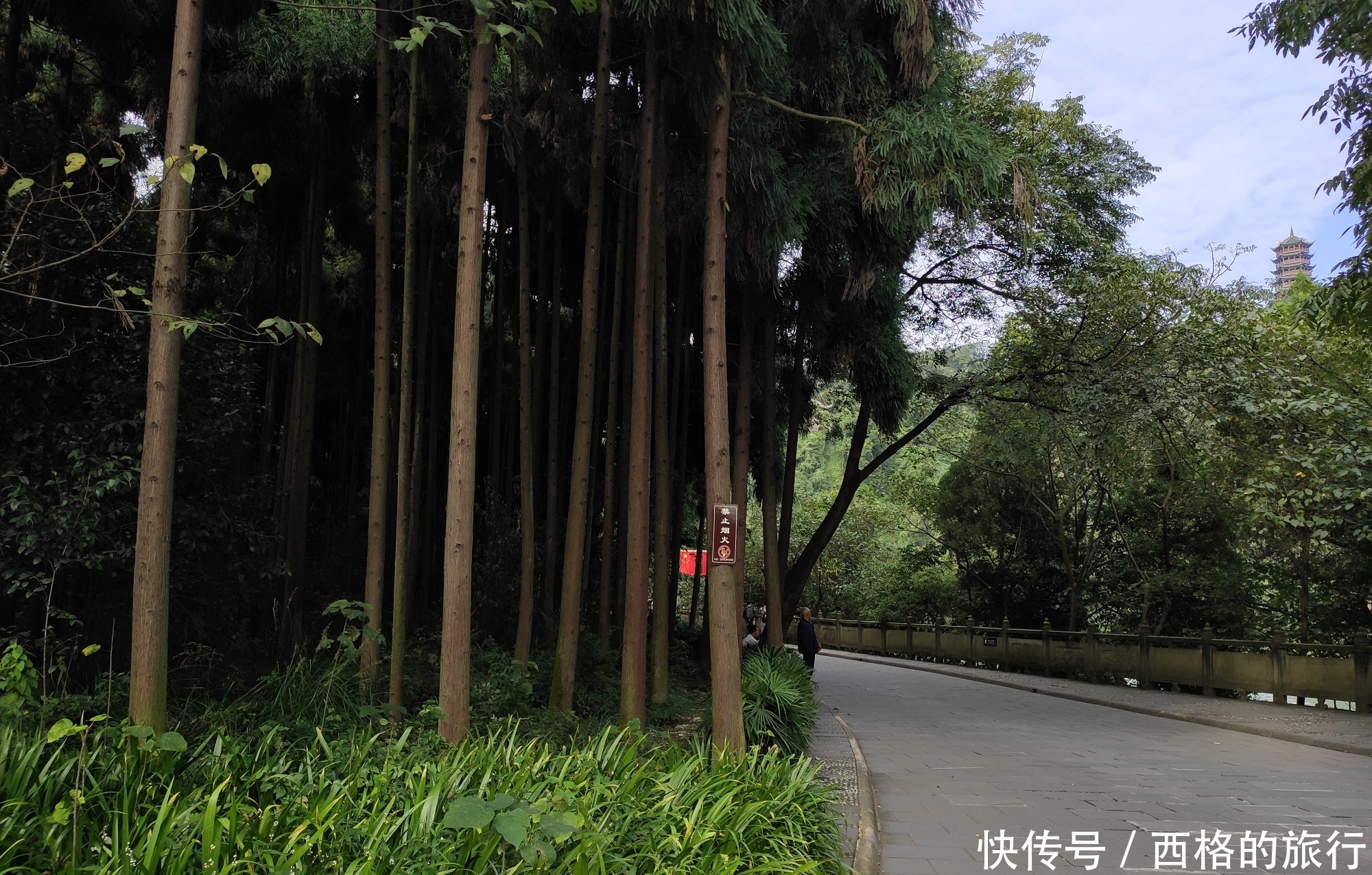 水利工程是哪里