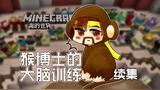 [图]我的世界Minecraft《籽岷的1.11解谜 猴博士的大脑训练 续集》