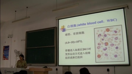 [图]组织学与胚胎学-血液