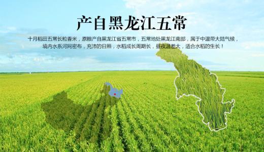 五常在哪里啊,?