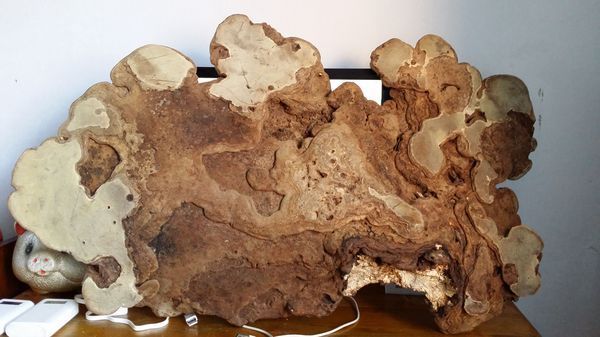 这东西听说叫老牛干,怎么处理表面能光亮,想当摆设放家里.